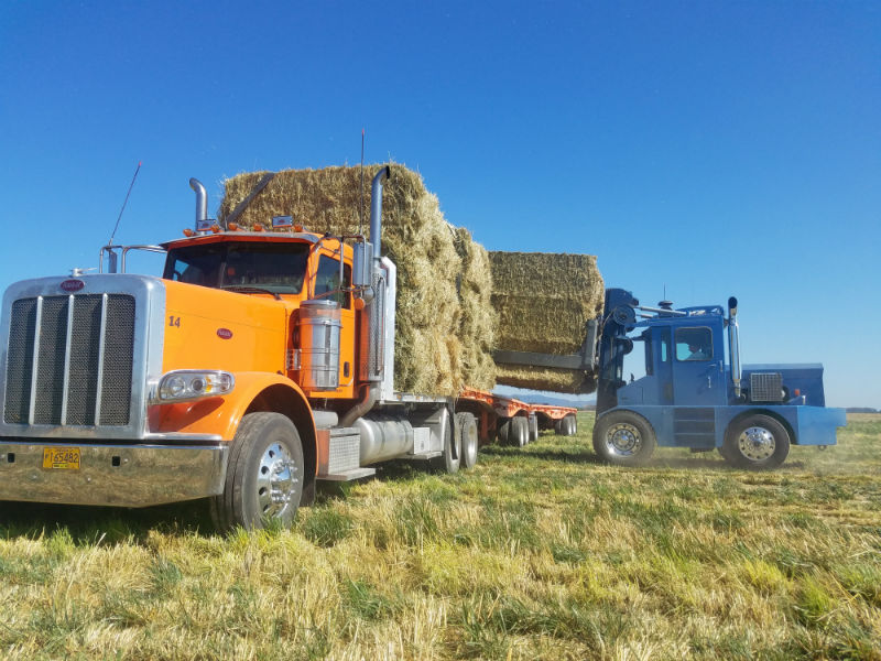 Clerf Standard Hay Clamp on Manteca Roadrunner loading hay truck